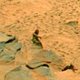 Illustration for article titled The Gorilla On Mars Isn't The Weirdest Thing We've Spotted There